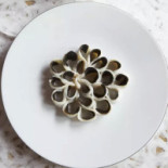 Troisgros Le Bois Sans Feuilles Bebida