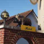 Brasserie Des Sangliers outside