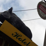 Brasserie Des Sangliers drink