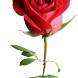 Le Grand Buffet Boisson