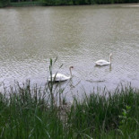 Camping In Tensch Boisson