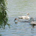 Camping In Tensch Extérieur