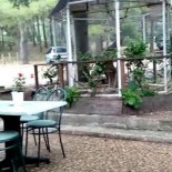 Drap D'or Extérieur