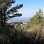 Drap D'or Extérieur