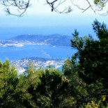 Drap D'or Extérieur