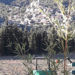 Little Jeanne Burgers Extérieur