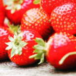 L'1 Pres Vue Boisson