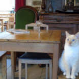 Grain 2 Café Dentro