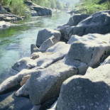 Le Tilleul Extérieur