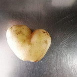 La Plage Cafe Boisson