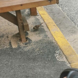 La Plage Cafe Extérieur