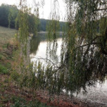 Camping Lilipin Exterior