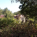 Le Relais Du Lyon D'or Exterior