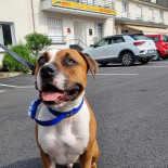 Soleil Levant Exterior