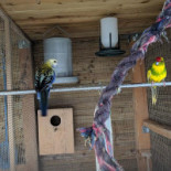 Soleil Levant Bebida