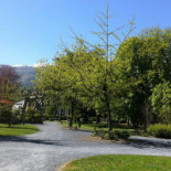 Soleil Levant Exterior