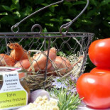 Campanile Dunkerque Est drink