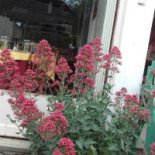 Attrap'Rêves Extérieur