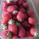 Le V, Ars En RÉ Comida