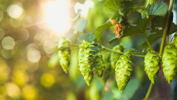 Pub Les Coulisses drink