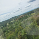 Les Palmiers Extérieur