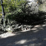 La Grangette De Biquette Extérieur