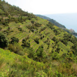 Chez Francis Exterior