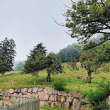 Saint Alexis Exterior