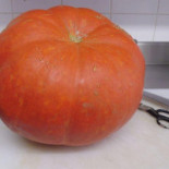 Le Bouquet Garni Bebida