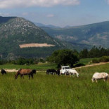 Camping Le Gîte Du Lièvre Exterior
