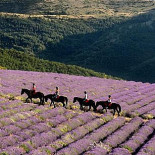Camping Le Gîte Du Lièvre Exterior