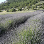 Camping Le Gîte Du Lièvre Exterior