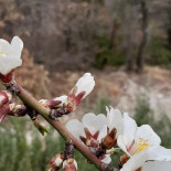Camping Le Gîte Du Lièvre Bebida