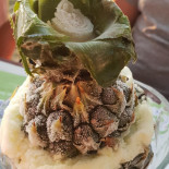 Le Petit Lezard Nourriture