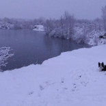 Le Petit Lezard Exterior