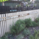 Pizza Totoche outside