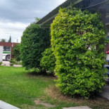 Pizza Tradition Exterior