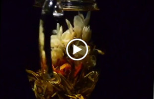 L'heure Du Gout-the drink