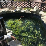 Le Compos'eat Extérieur