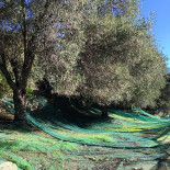 Pizza Loulou outside