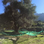 Pizza Loulou outside