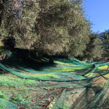 Pizza Loulou outside