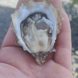 La Cabane De Tony drink