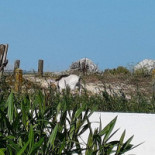 La Cabane De Tony outside