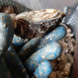 La Cabane De Tony drink