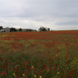 La Cabane De Tony outside