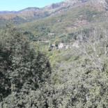 Aux Saveurs D'anna Extérieur