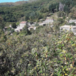 Aux Saveurs D'anna Extérieur