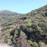 Aux Saveurs D'anna Extérieur