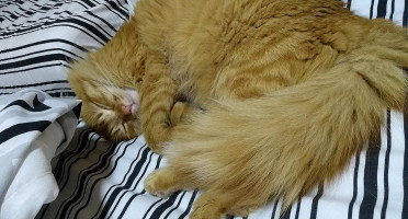 La Table Du Beaurecueil drink